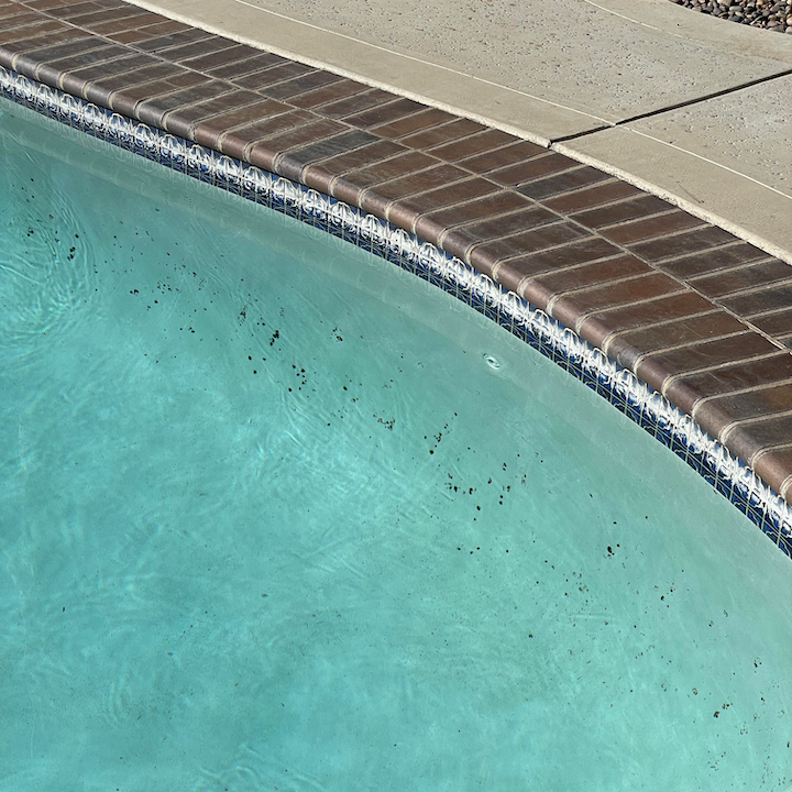 Pool edge with brick coping and early debris collecting in slightly cloudy water between service visits